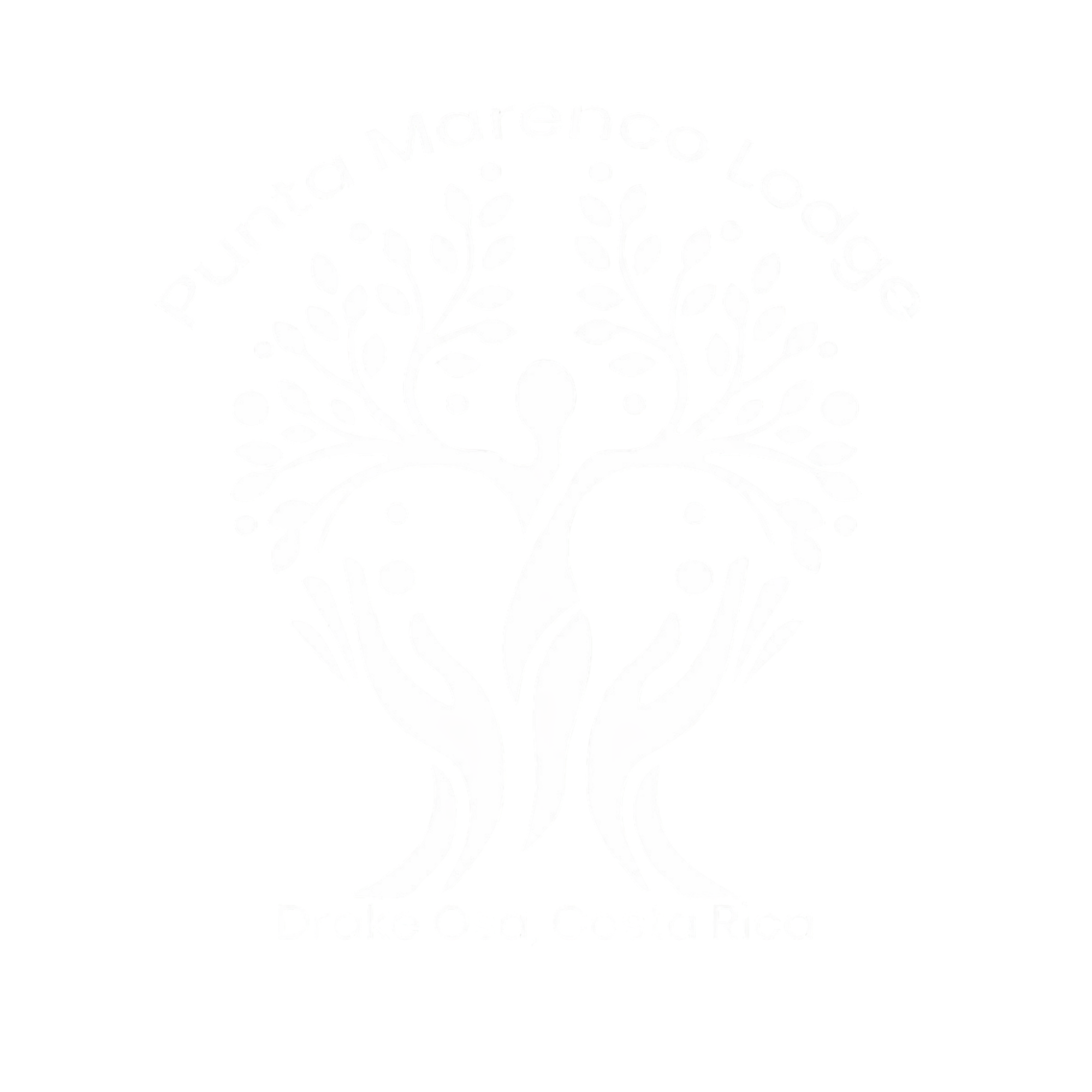 Lodge cerca del Parque Nacional Corcovado